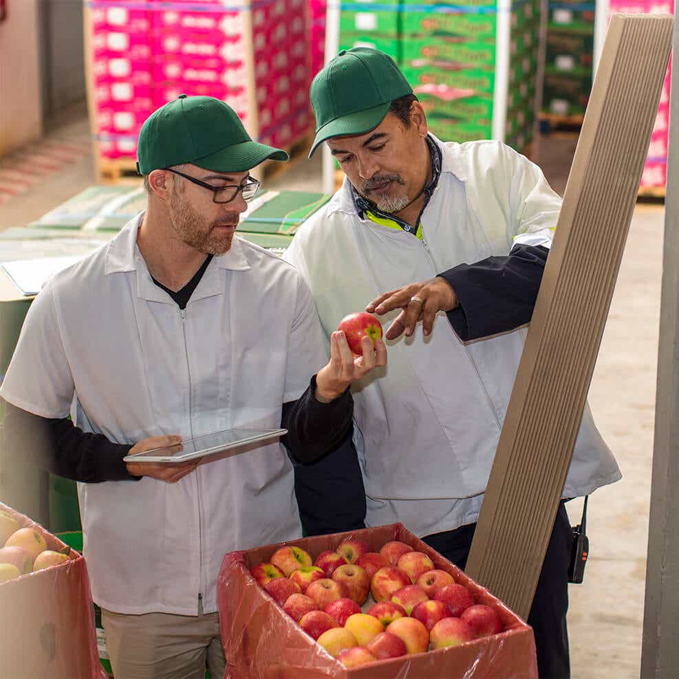 warehouse employees quality checking food upon delivery